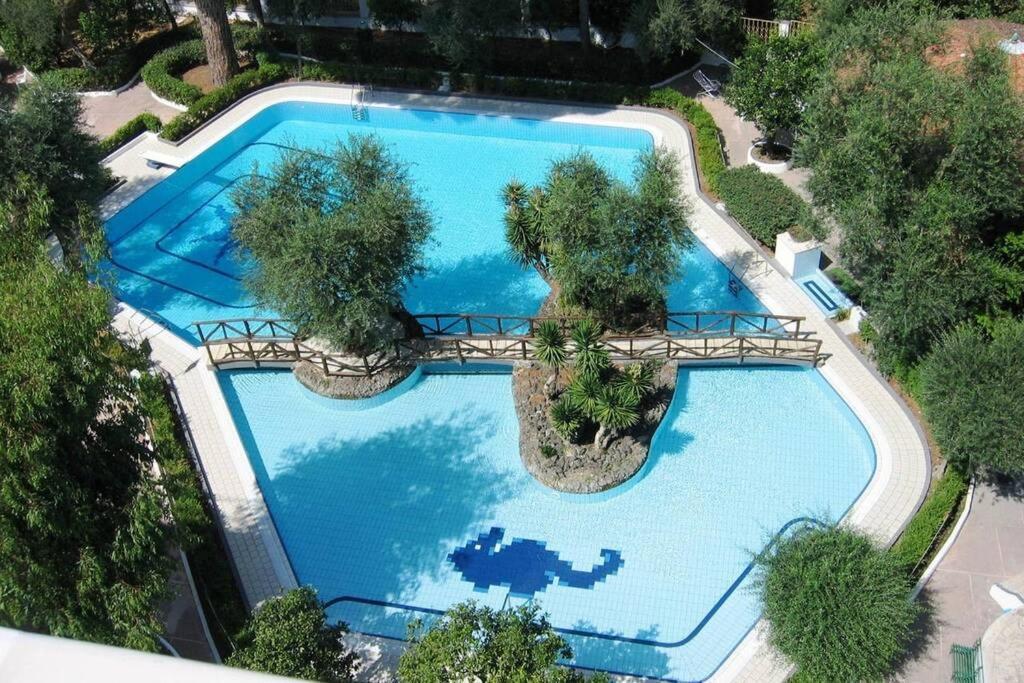 Virginia'S Guest House Σορέντο Εξωτερικό φωτογραφία