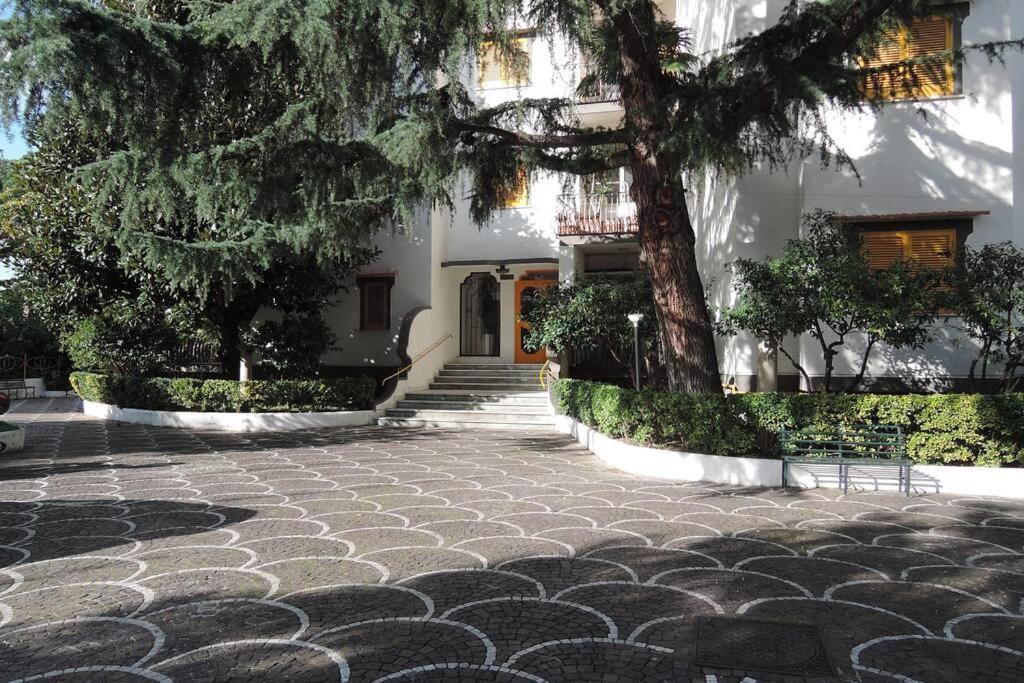 Virginia'S Guest House Σορέντο Εξωτερικό φωτογραφία
